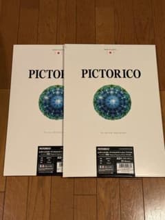 PICTORICO デジタルネガフィルムA3 プラス 20シート2点 - メルカリ