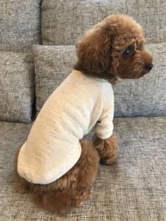 ★マーブル様専用★ 犬服  ラグラ＆パーカー XXXSのサムネイル