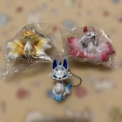 つぼみ狐 天眼蓮 黄蕾狐 流浪雨 セット