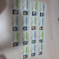なめ猫の運転免許証カード 14枚セットのサムネイル