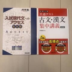 入試現代文へのアクセス 基本編 & 古文・漢文 集中講義 新装版のサムネイル