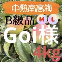 64 Goi様　中熟南高梅　訳あり　MLサイズ　4kgのサムネイル