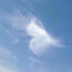aiさん専用のサムネイル
