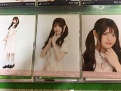 乃木坂46 生写真 松村沙友理 コンプのサムネイル