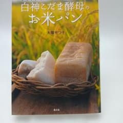 白神こだま酵母のお米パン 大塚せつ子のサムネイル