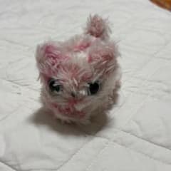 catcatcat！ マリーメゾンドミュー 猫 ぬいぐるみ - メルカリ