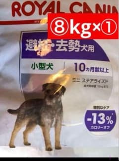 5月30日発送 ロイヤルカナン ミニステアライズド8kg×2 ロイヤルカナンミニステアライズド8kg - メルカリ