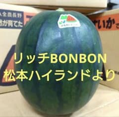 とっておき 小玉西瓜「リッチボンボン」1玉 3キロアップ - メルカリ
