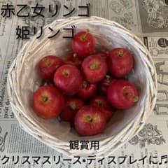 値下げ！姫りんご　赤乙女　15個セットのサムネイル