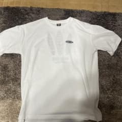 HANG TEN Tシャツ Lサイズのサムネイル