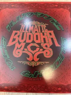 ILLMATIC BUDDHA MC'S 病める無限のブッダの世界 レコードのサムネイル