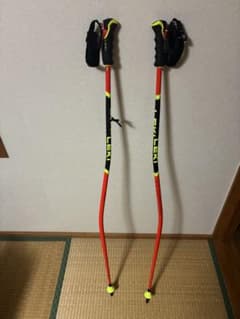スキーストックのサムネイル