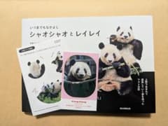 新品・未読】写真集 シャオシャオとレイレイ ※上野エリア購入特典付き