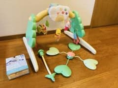 Winnie the Pooh 6-Way Gym Merry