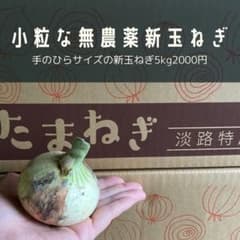 農家直送　無農薬新玉ねぎ　ＳＳサイズのサムネイル