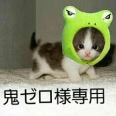 鬼ゼロ様専用まとめ売り☆のサムネイル