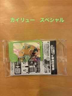 カイリュー　ポケモン　フレンダのサムネイル