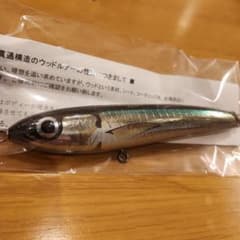 カーペンター　γガンマ　45-160 　ウッドルアーのサムネイル