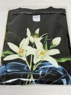TENBLANK×セントマイケル コラボ Tシャツ 佐藤健 志尊淳 町田啓太 S