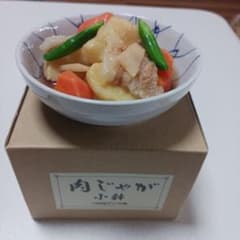食品サンプル　肉じゃが　元祖食品サンプル屋のサムネイル