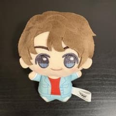 BTS tinytan 꼬마 장난감 종국 DNA 봉제 장난감