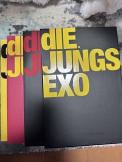 dIE JUNG EXO 特別版 シリアルナンバー dIE JUNG EXO 特別版 シリアルナンバー - メルカリ