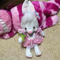 お値下げ中 うさぎのロージーちゃん 着せ替え付き ぬいぐるみのサムネイル