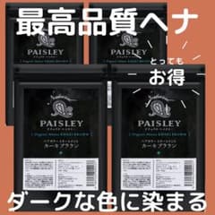 ヘナ白髪染め【最高AAAランク高品質オーガニックヘナ】カーキブラウン100g×4 ヘナ 白髪染め 100g×4個セット 400g 黒 茶 ヘアカラー トリートメント