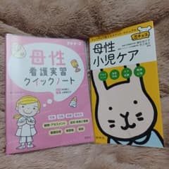 母性看護実習クイックノート/母性小児ケアのサムネイル