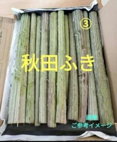 ③秋田ふき　フキ　蕗　無農薬　青森県産のサムネイル