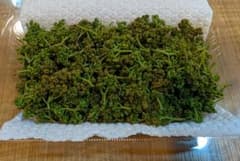 花山椒 300g 岐阜県産 ※クール便に変更 花山椒 300g 岐阜県産 ※クール便に変更 - メルカリ