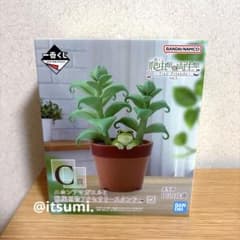一番くじ 爬虫類＆両生類 ニホンアマガエルと観葉植物アクセサリー