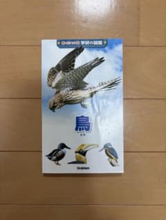 新ポケット版　学研の図鑑　鳥のサムネイル