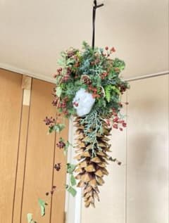 Akk　フライングリースシュガーパインコーン　ナチュラル 梅様専用 【受注販売】フライングリースシュガーパインコーン