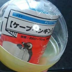 ニフレフのケープペンギンのサムネイル