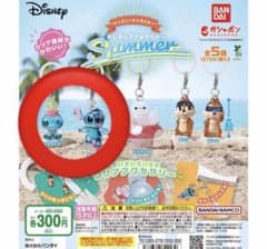 ディズニー めじるしアクセサリー Summerのサムネイル