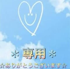 ☆ちもし-様専用☆WILD BUNCH  2024  8/23 チケット2枚のサムネイル