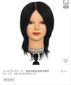 美容師国家試験用本番ウィッグ 3体セット - メルカリ