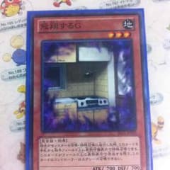 飛翔するGのサムネイル