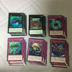 遊戯王 バージェストマ 各３枚 全種類セットのサムネイル