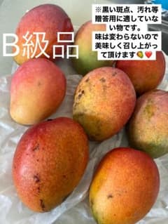 クール便発送　Ｂ級品マンゴー2kgのサムネイル