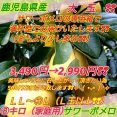 お値引致しました❢500円引❢大玉❢【家庭用】鹿児島県産 サワーポメロ 8キロのサムネイル