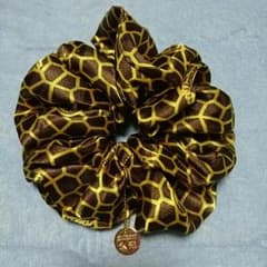 Mr.Children  シュシュのサムネイル