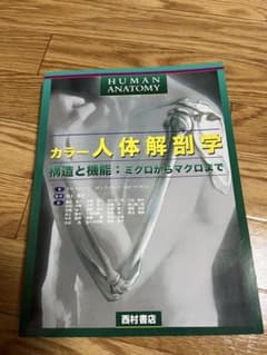 人体解剖学のサムネイル