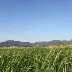 アンタレスHGきよさま専用のサムネイル
