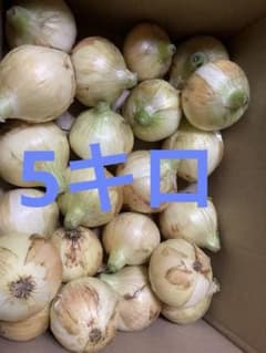 静岡県産　新玉ねぎ　黄玉　5キロのサムネイル