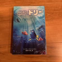 파인딩 돌리