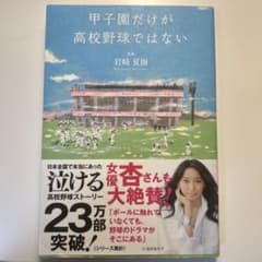 甲子園だけが高校野球ではないのサムネイル