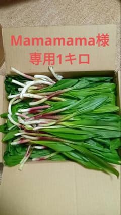 Mamamama様専用1キロのサムネイル