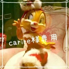 carire様専用ページ♡のサムネイル
